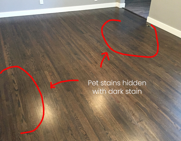 What If My Hardwood Floor Has Pet Stains, Refinish Hardwood Floors Pet Urine Stains